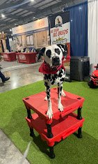 Make Your Dog Epic